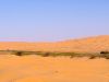 elchott_vortour_2012_142